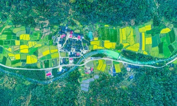 DJI_0702