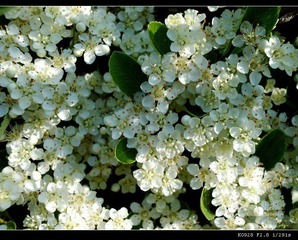 080509_74.jpg