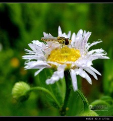 160509_9.jpg