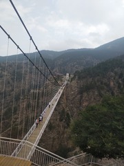 260453