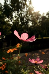IMG_7918.jpg