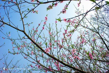 DSC02635.jpg