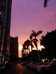 3F0508F3-B689-4E65-AE3F-C580B5FF0EEA/L0/001