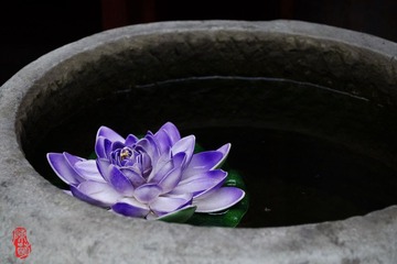 DSC_0788.jpg
