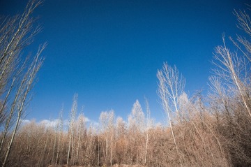 YXM_7025