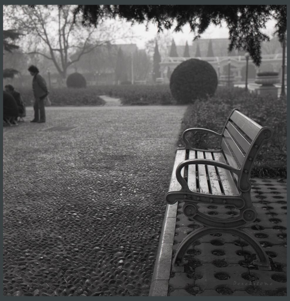 Rolleiflex 3.5F,Planar,Fuji Acros,自扫
