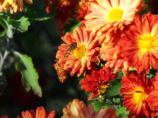 8FD0E370-58FB-4069-8A87-79371C679112/L0/001