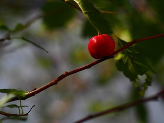 117E1B86-D784-45EB-932E-E30D0FDD7DBB/L0/001