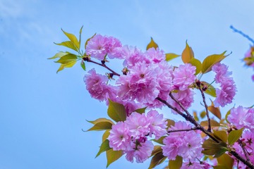 1F78BC5B-5075-4F5F-A0CB-7FA66F7C1DDA/L0/001