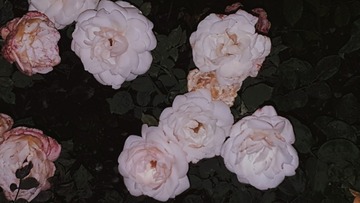 83042