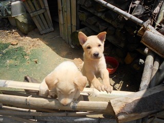DSCN0089.JPG