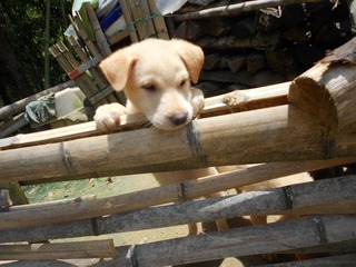 DSCN0090.JPG