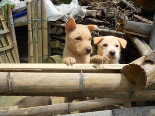 DSCN0178.JPG