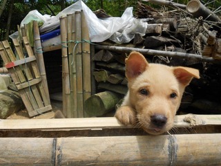 DSCN0177.JPG