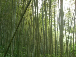 DSCN0328.JPG