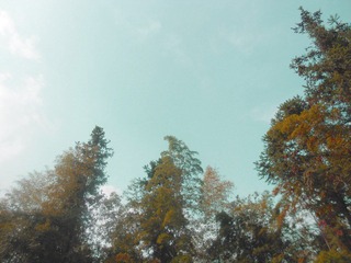 DSCN03540.jpg