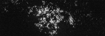 DEE07888-FF91-45F3-8C9F-848B333D0FED/L0/001