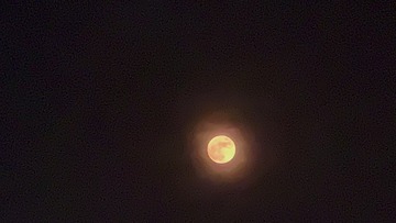 0C675E56-6815-478A-BF1A-1D1755C45558/L0/001