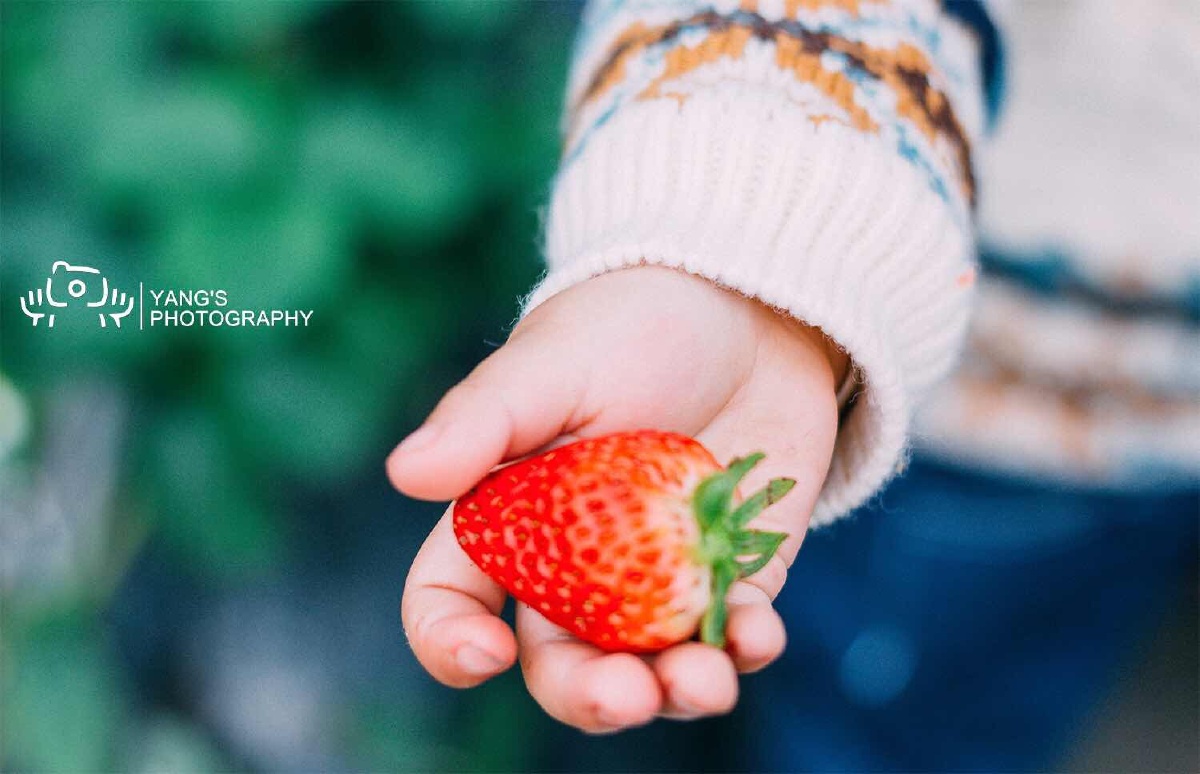 我们家有个杨草莓?