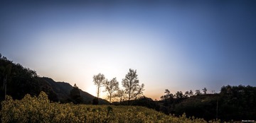 wuyuan - 副本-211.jpg