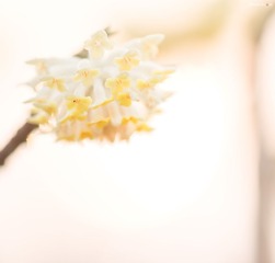 DSC051551.jpg