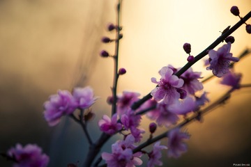 DSC053971.jpg