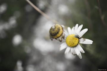 “DSC08207”为智能对象-11.jpg