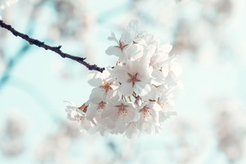 150161