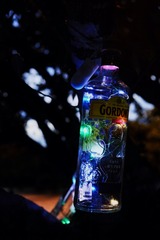9B370080-7DEC-4D5C-BDDC-8942E99CD55C/L0/001