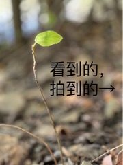 2A962E9F-0C88-4F1A-853B-B3EAA212ED5A/L0/001