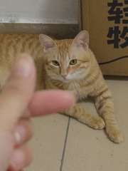 F0F68F60-B84F-490E-88CF-37C28D1806EE/L0/001