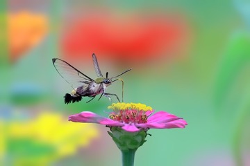 C039919F-92FD-452B-BA37-CF27EAF04DBB/L0/001