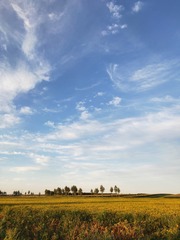 7D5751FE-2EF0-4C7D-8D48-AE8105B86B49/L0/001