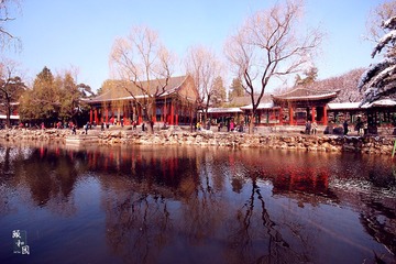 IMG_0703.jpg