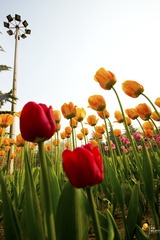 IMG_18331.jpg