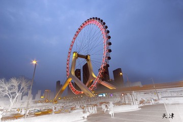 IMG_1304.jpg