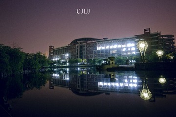 IMG_2452.jpg