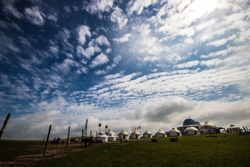 IMG_6351.jpg