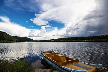 IMG_6652.jpg