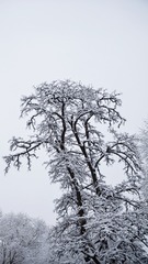 29401D69-4F6B-4010-B57C-064038E23348/L0/001
