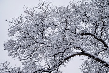 967A6E70-B799-435B-B099-84894D58DF12/L0/001