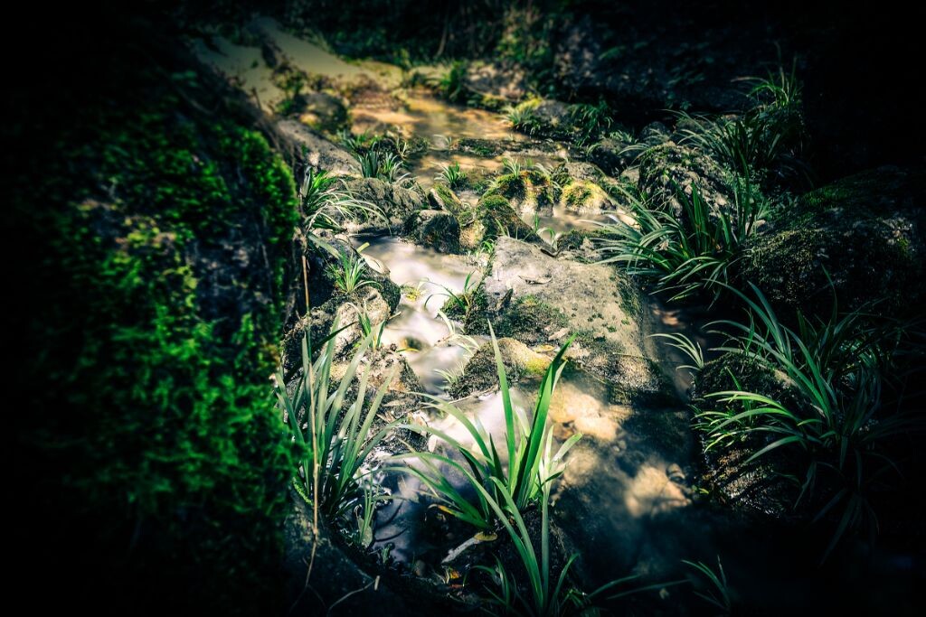 摄影师的十大悲剧之忘记用raw格式拍摄。。。跑去一没路的深山老林里拍照回来发现都是jpg最低画质拍的，我整个人都麻痹了。。。