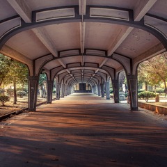 IMG_1047-5