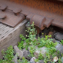 IMG_1137-13
