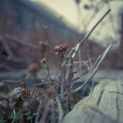 IMG_1145-15