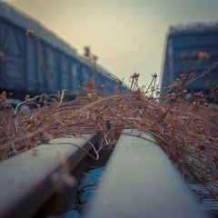 IMG_1148-16