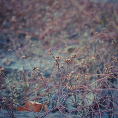 IMG_1149-17