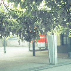 IMG_1198-21