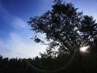 _7090574.JPG