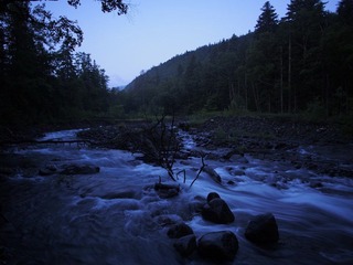 _7100630.JPG